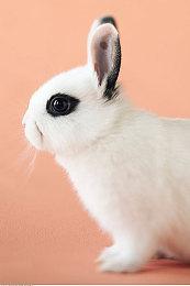 《开拓者：正义之怒》DLC再次跳票 3月3日发售